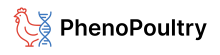 PhenoPoultry